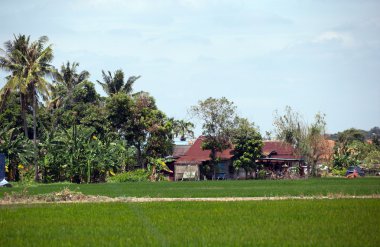 Kuantan kıyı bir köyde kırsal sahne