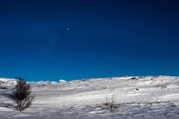 Winter in Island — Stockfoto