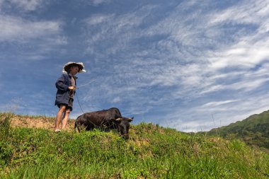 çiftçi ve onun buffalo
