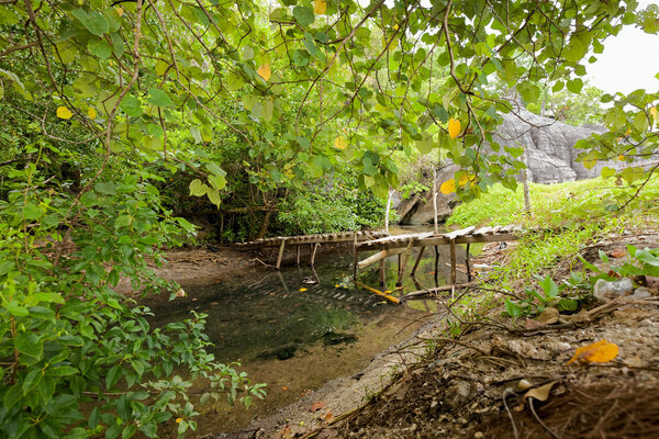 Заброшенный мост через реку
