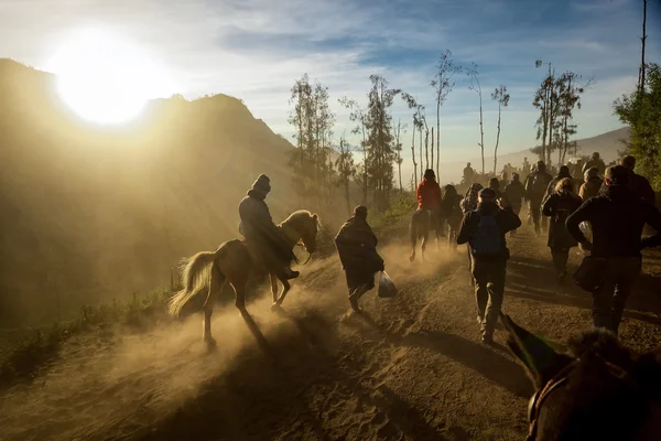 Horse riding in volcano mountains — Stock Photo, Image