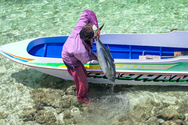 Fisherman unloading catch — Zdjęcie stockowe