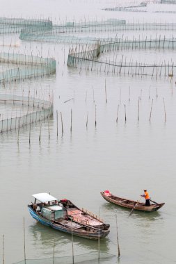 Crab farming in Xiapu County, China