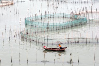 Crab farming in Xiapu County, China