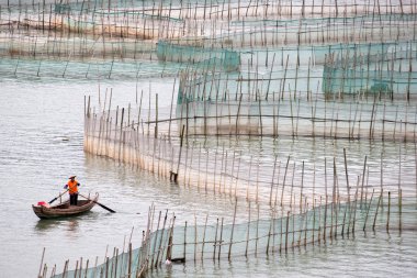 Crab farming in Xiapu County, China