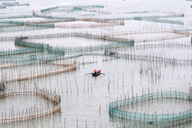 Crab farming in Xiapu County, China