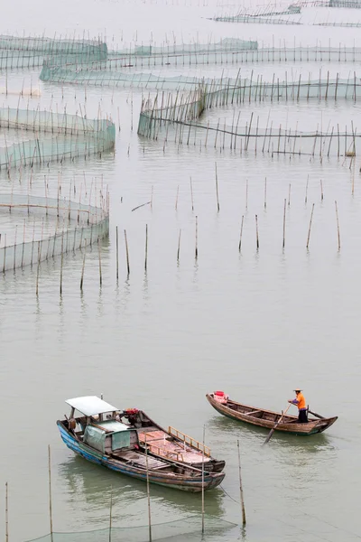 Crab farming in Xiapu County, China — Stock fotografie