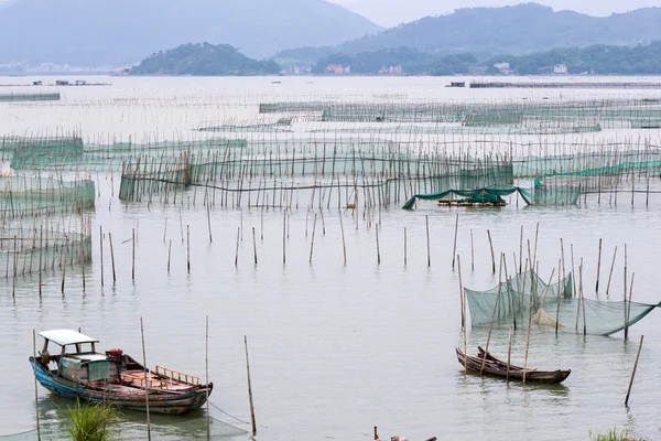 Crab farming in Xiapu County, China — Stok fotoğraf