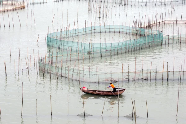 Crab farming in Xiapu County, China — Stockfoto
