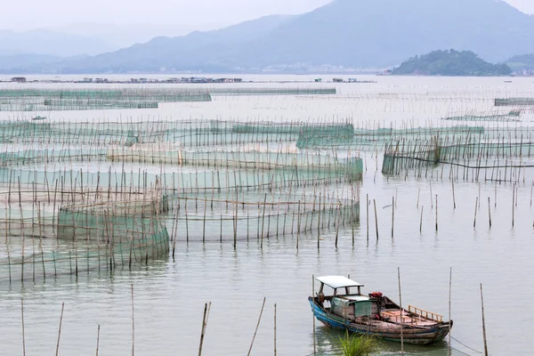 Crab farming in Xiapu County, China — Stok fotoğraf