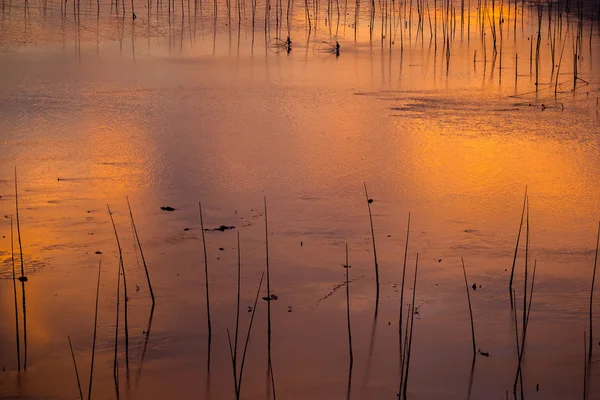 Peixarias em Xiapu, China — Fotografia de Stock