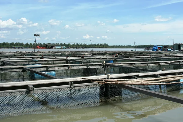 Fish farm in Pulau Ketam, Malaysia. — Stock Photo, Image