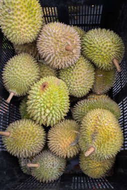 Durian meyve