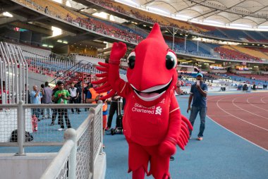 Liverpool Asia Tour 2015
