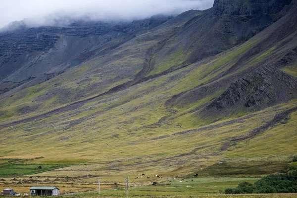 Mořské scenérie z Islandu — Stock fotografie