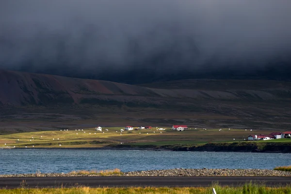 İzlanda köyde tarım — Stok fotoğraf