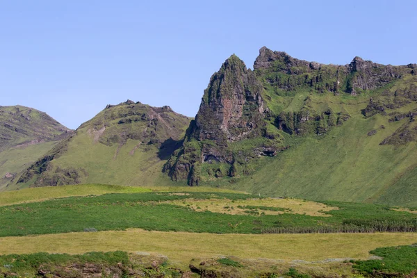 İzlanda manzara. kayalar ve çim