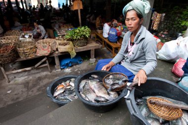 Kayu Ambar sabah Pazar Ubud, Bali Adası.
