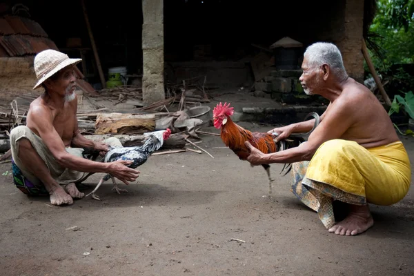 Bedulu village life, Bali Island — Stock Photo, Image