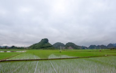 Farmland in Guangxi, China.