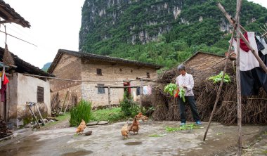Farm work in Guangxi, China.