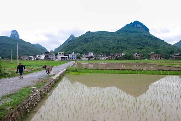 Campos agrícolas en Guangxi, China . — Foto de Stock