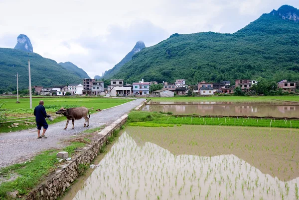 Farmland in Guangxi, China. — Stockfoto