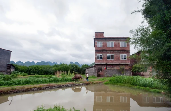 Trabajos en granja en Guangxi, China . — Foto de Stock