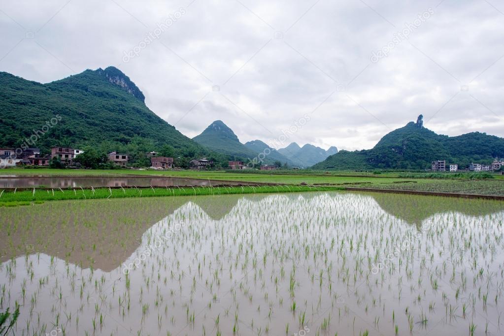 Farmland in Guangxi, China.