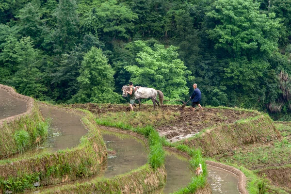 Village and terraced rice fields of the Yao ethnic minority tribes in Longji, China. — Stockfoto