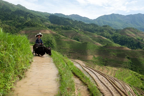 Povoado da minoria étnica de Yao na província de Guangxi, China — Fotografia de Stock