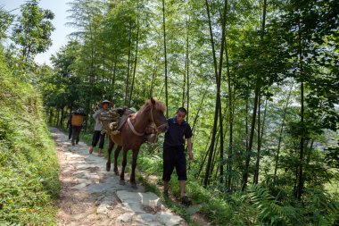 Transportation up the hills