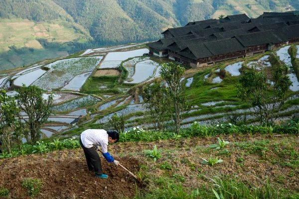 Agricoltore che lavora nel settore nel Guangxi, Cina . — Foto Stock