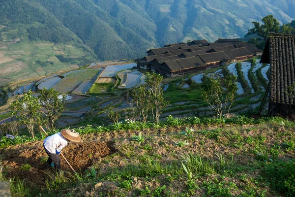 Agricultor que trabaja en el campo en Guangxi, China . —  Fotos de Stock