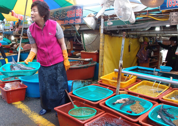 Fishmonger in Daepohang market, South Korea.