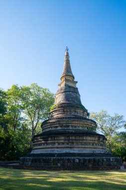 Budist tapınağı pagoda Chiang Mai