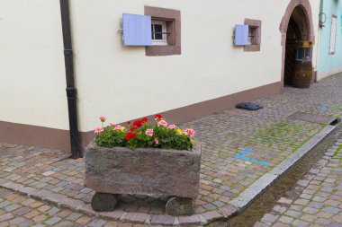 Alsace Şarap Yolu 'ndaki Kientzheim adlı eski bir şarap kasabası, şarap üretim bölgesi. Fransa. Yazın ortaçağ merkezi caddesi. Turizm merkezi, turizm merkezi.