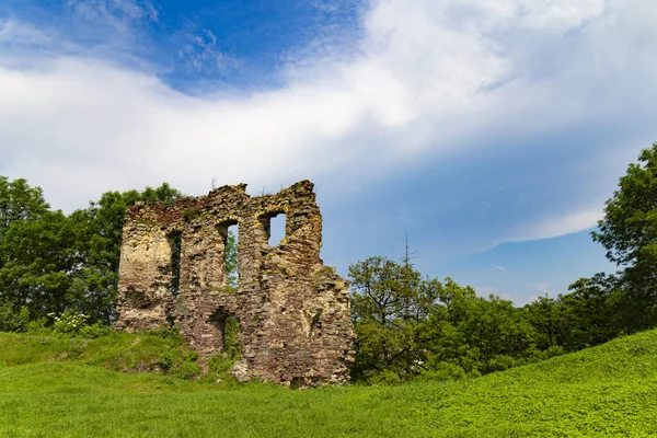 Ruinas Escénicas Del Castillo Medieval Buchach Entre Plantas Verdes Brillantes — Foto de Stock