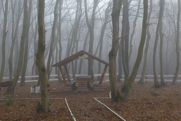 Mystisch Dichter Nebel Herbstlichen Wald Leere Touristische Ruhestätte Nebliger Tag — Stockfoto