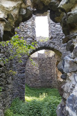 İçi çimlerle kaplı ortaçağ Nevytsky (Nevytske) şatosunun kalıntıları. Transcarpathian bölgesi. Ukrayna. Turizm beldesi, turizm beldesi