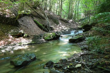Yazın orman nehrinin çağlayan akıntısı ile birlikte doğa manzarası. Karpatlar 'ın TransCarpathia Lumshory köyü yakınlarındaki Turichka nehri. Ukrayna.