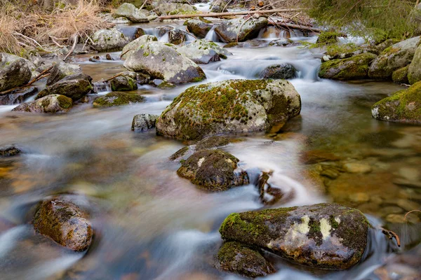 Mountain creek. Water among mossy stones close-up. Beautiful mountain river landscape