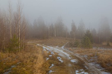 Karpatlar 'da ilkbaharın başlarında. Sisin içinde ağaçlar olan dağ yamaçları. Karda toprak yol. Dağlarda güzel doğa. Ukrayna