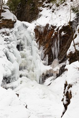 Kadın - kışın karlı dağ geçidinde yaya tahta köprüsünde yürüyüş yapan biri. Konum: Zhenetskyi, Zhenetskyy, Huk Şelalesi, Carpathian Ulusal Parkı, Ukrayna. 