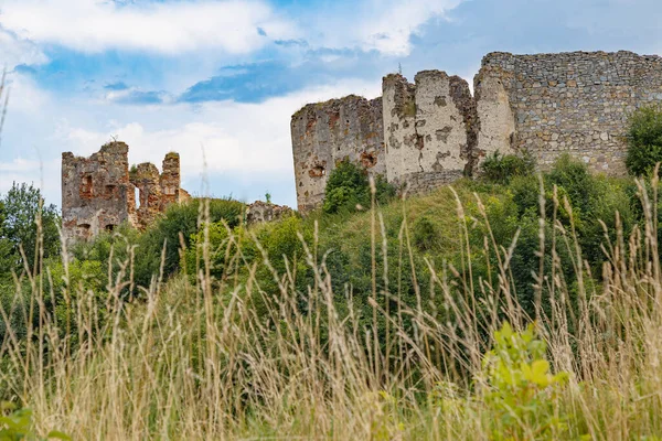 Castillo Medieval Abandonado Pniv Ciudad Nadvirna Región Ivano Frankivsk Oeste — Foto de Stock
