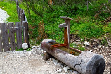 Ahşap oluktan akan dağ pınarı suyu. Doğal park Dolomitler Alpleri 'nde tahtadan oyulmuş bir çeşme..