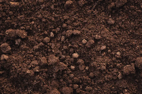 Close Fertile Loam Background Stock Image