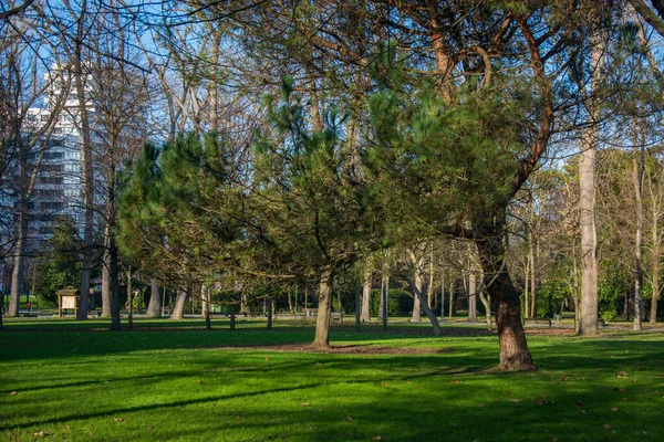 Parkdetail Mit Mehreren Bäumen Grünem Gras Und Sonne Und Schatten — Stockfoto