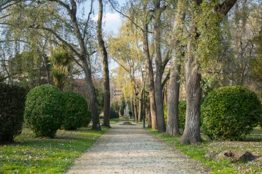 Birkaç ağaçlı park yeri, (güneş ve gölge) ve yeşil çimenler.