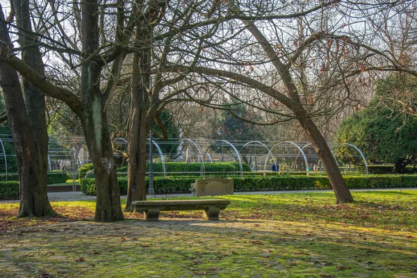 Detalle Del Parque Con Varios Árboles Banco Piedra Luz Solar — Foto de Stock